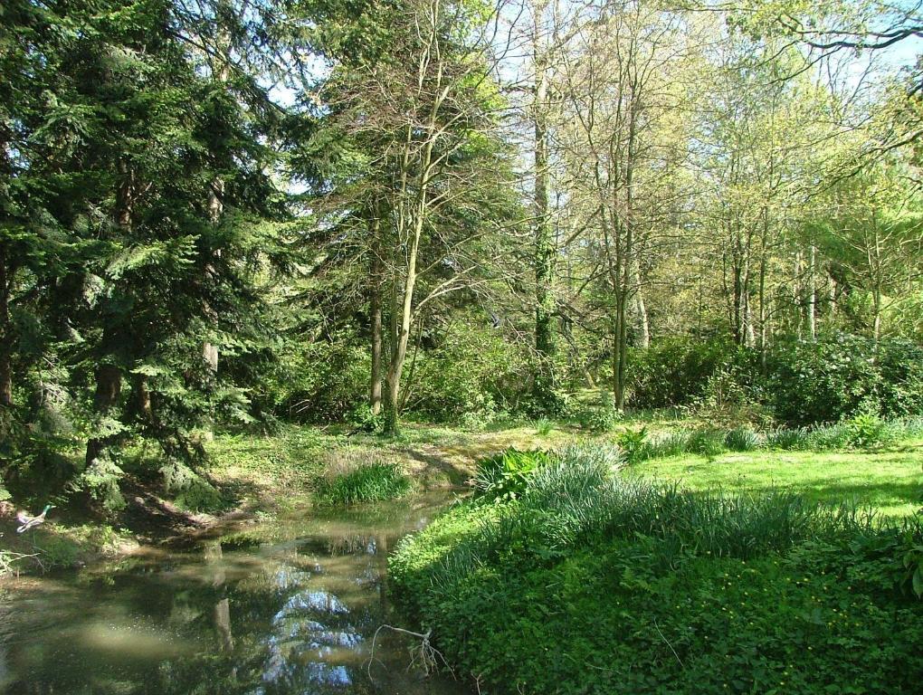 Gites De Launay Guibert Miniac-Morvan Oda fotoğraf