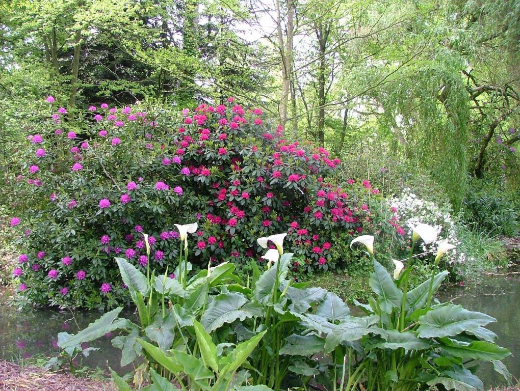 Gites De Launay Guibert Miniac-Morvan Dış mekan fotoğraf